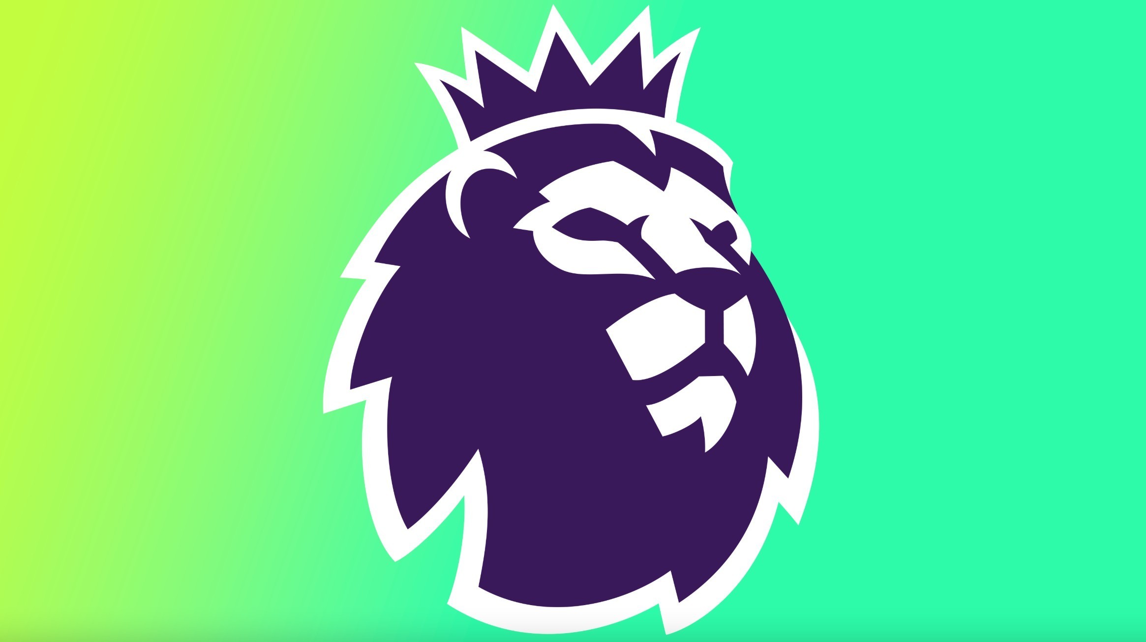 他们不仅学 他们不仅学