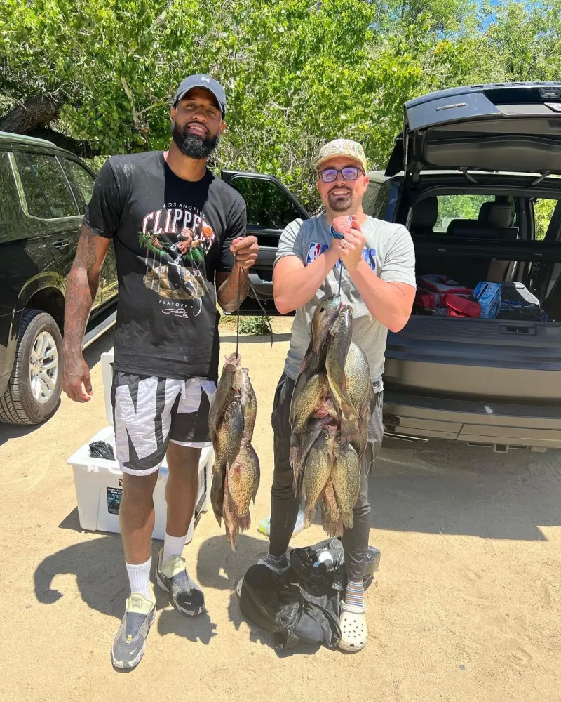 作与不懈追 作与不懈追