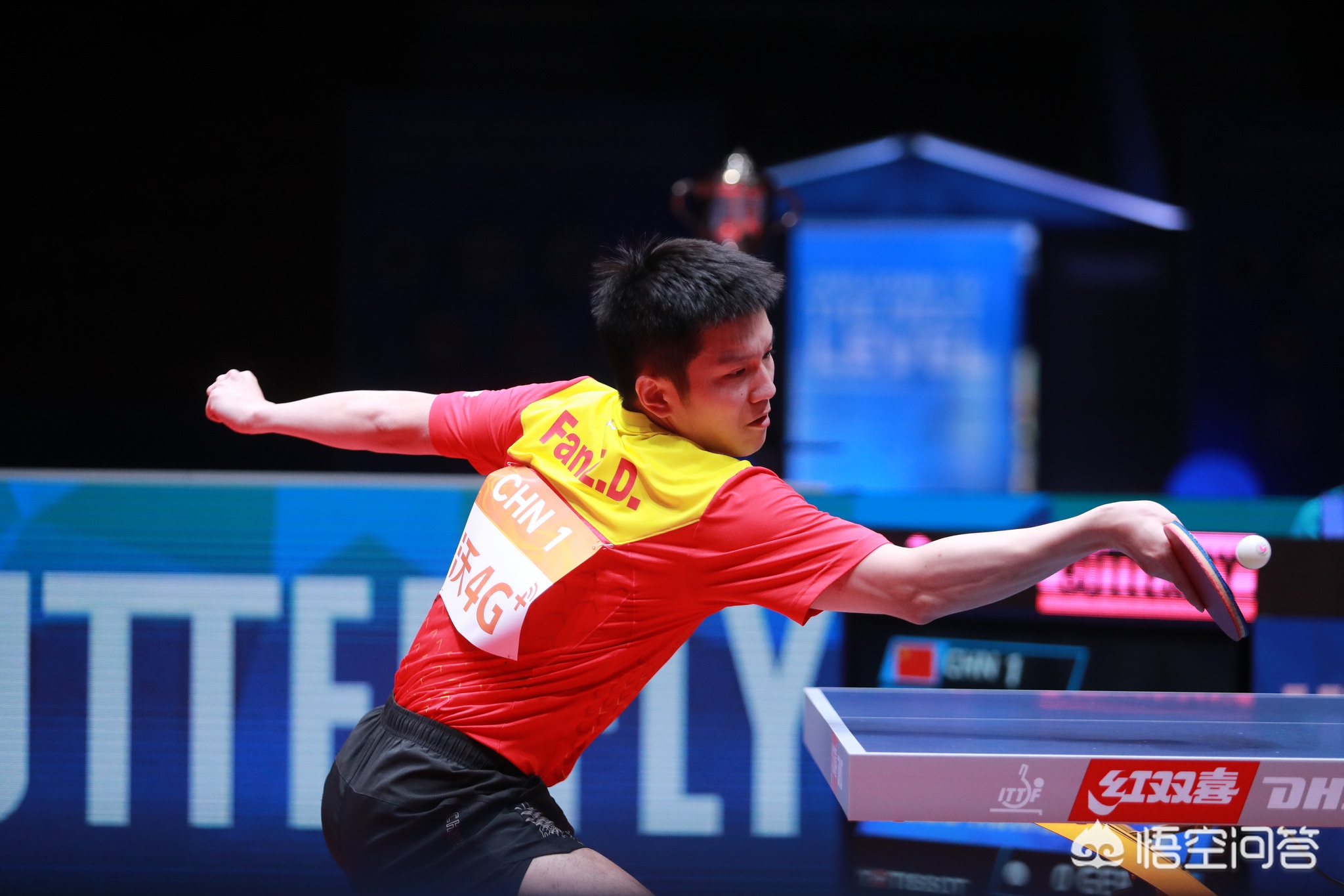 短暂的重聚 短暂的重聚